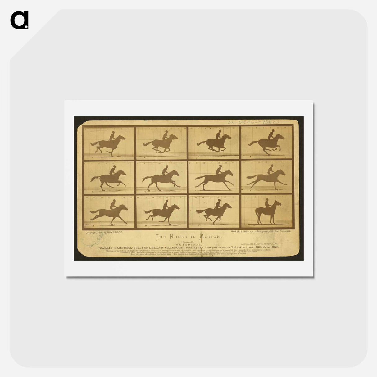 アートポストカード-The Horse in Motion
- エドワード マイブリッジ Postcard.