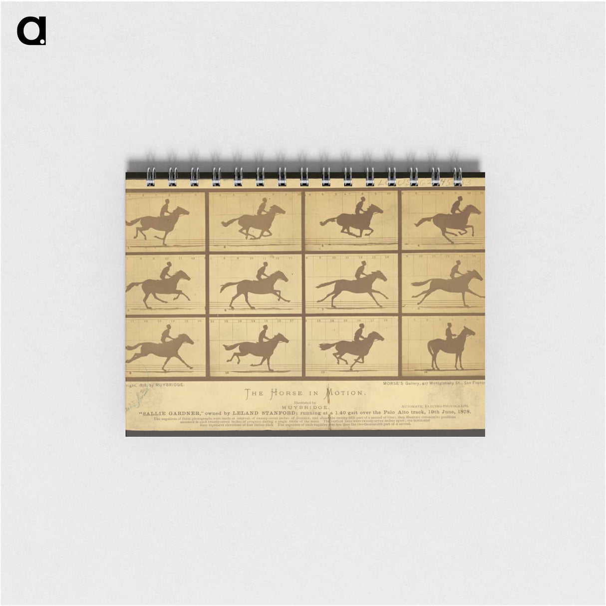 アートメモ帳-The Horse in Motion
- エドワード マイブリッジ Memo.