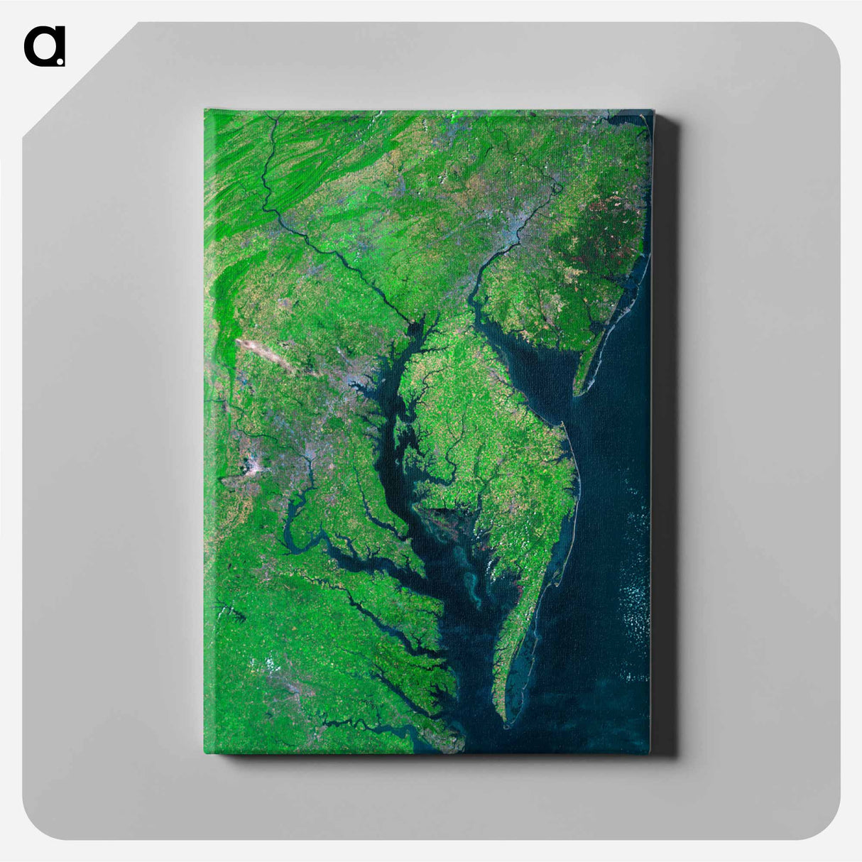 アートパネル-Chesapeake Bay Mosaic
- 上空からの地球 Canvas.