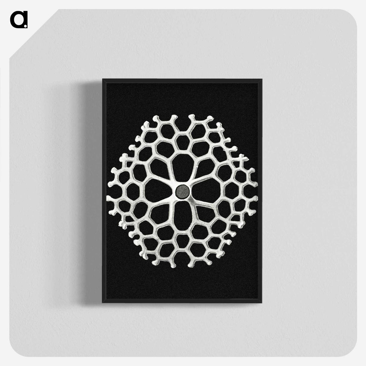 2-18_Ernst-Haeckel_blk-crop