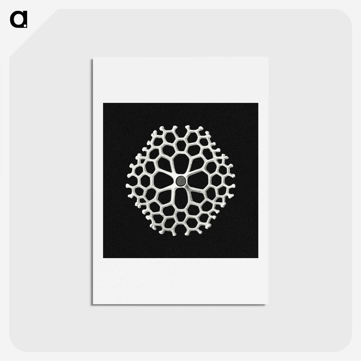 2-18_Ernst-Haeckel_hagaki