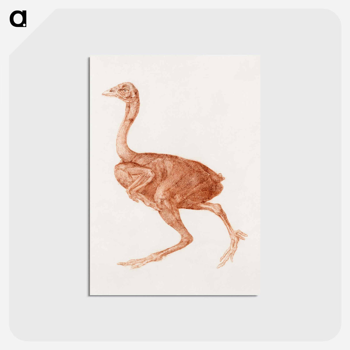 アートポストカード-Dorking Hen, Lateral View
- ジョージ スタッブス Postcard.