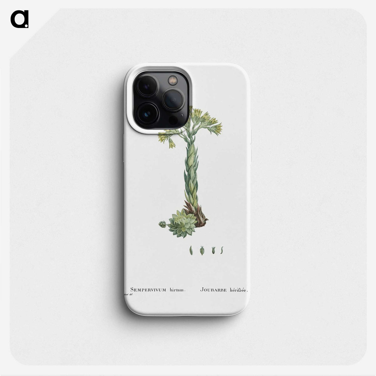 2-18_Histoire-des-Plantes-Grasses_phone