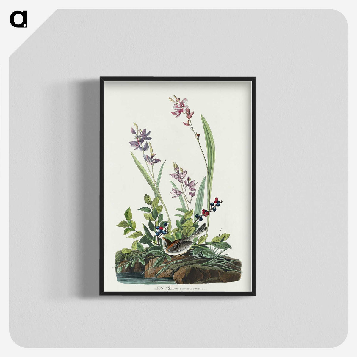 2-18_John-James-Audubon_blk-crop