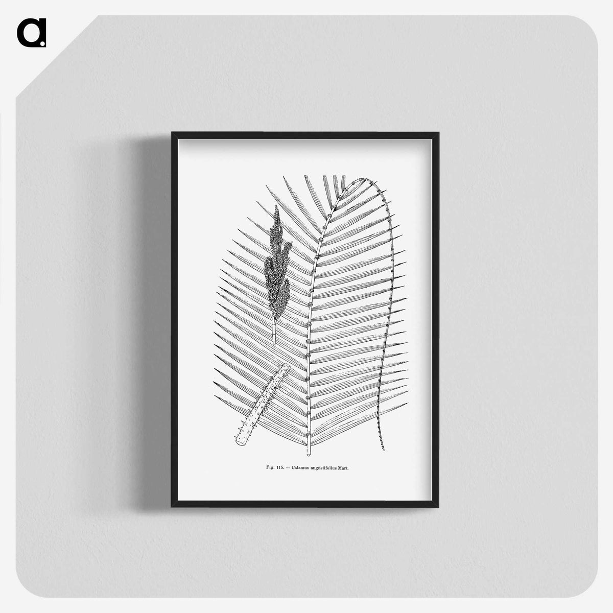 2-18_Les-Palmiers-Histoire-Iconographique_blk-crop