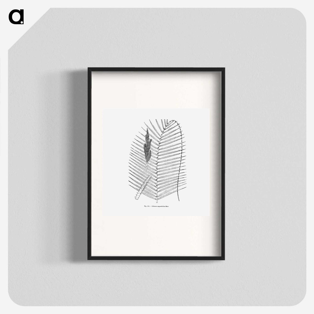 2-18_Les-Palmiers-Histoire-Iconographique_blk