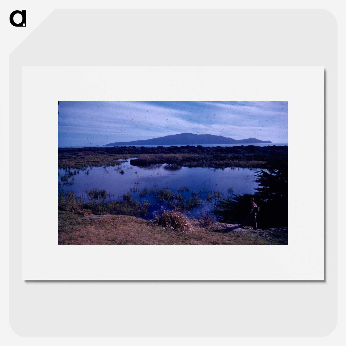 2-18_Leslie-Adkin_picture