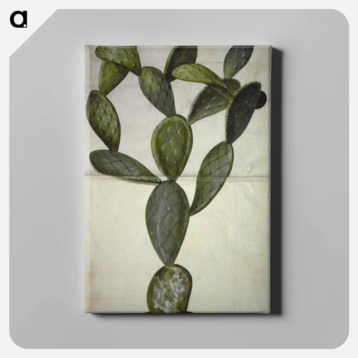 アートパネル-Opuntia Monacantha
- マリア ジビーラ メーリアン Canvas.