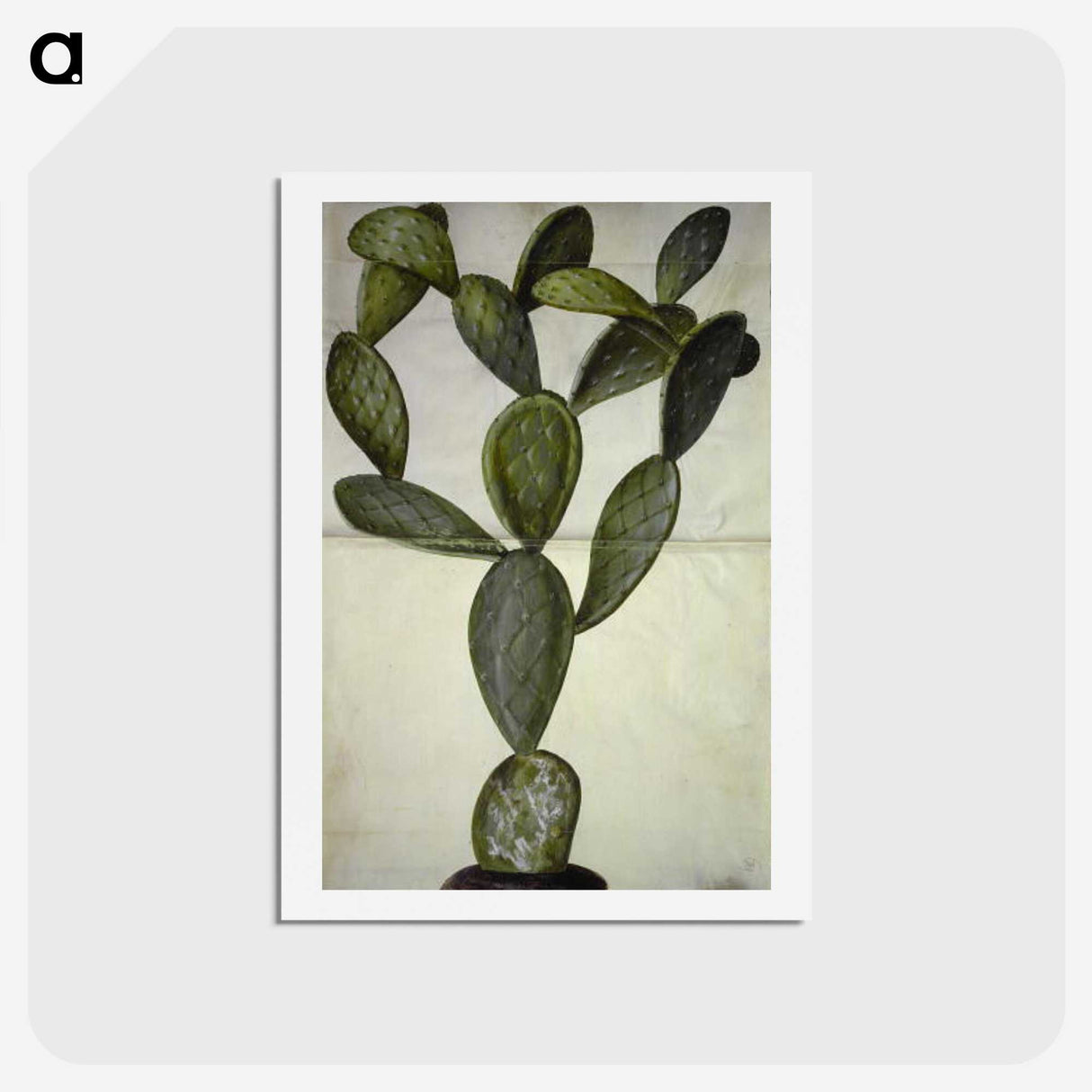 2-18_Maria-Sibylla-Merian_hagaki