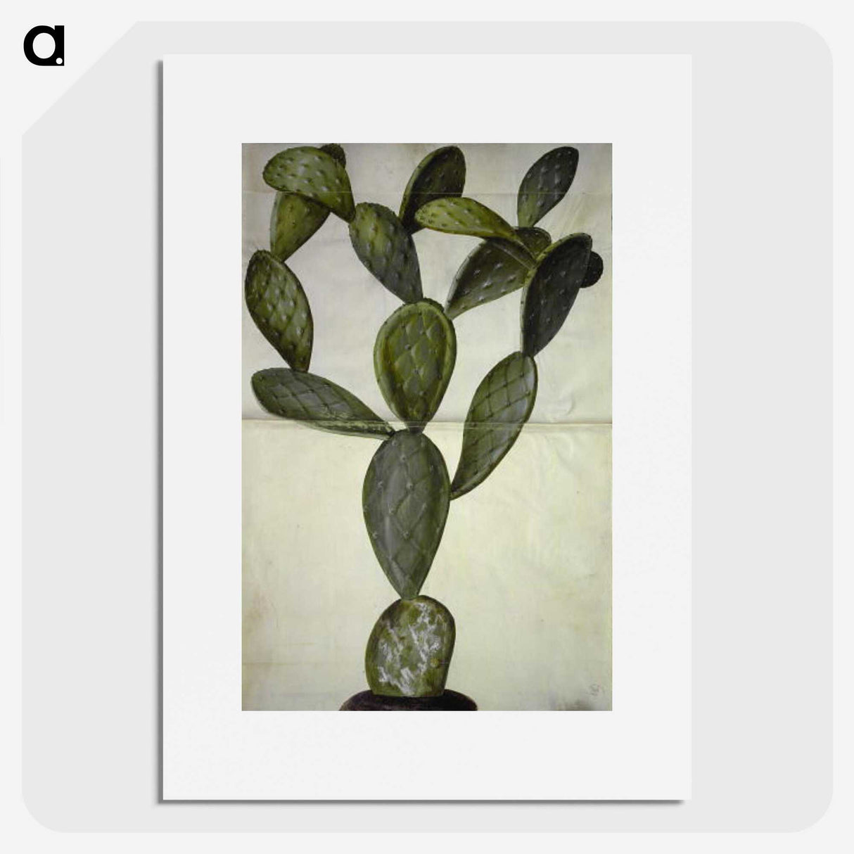 2-18_Maria-Sibylla-Merian_picture
