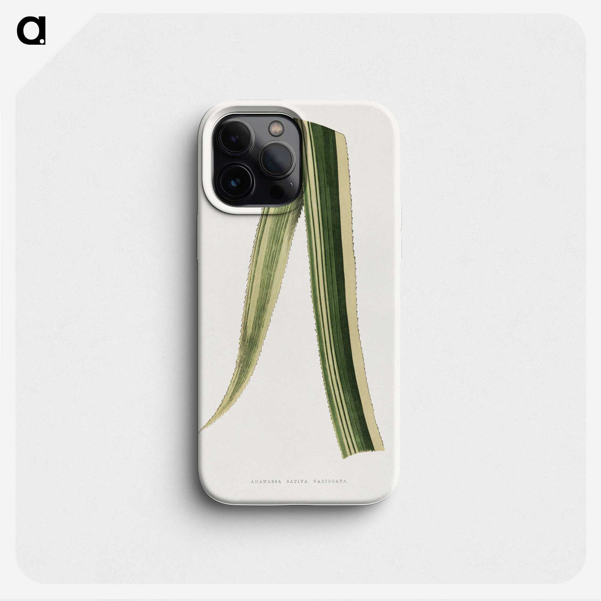 2-18_Plants-with-Colored-Foliage_phone