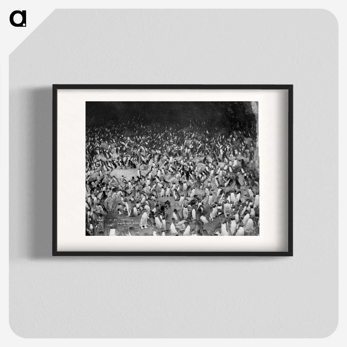 2-18_The-Burton-Brothers_blk