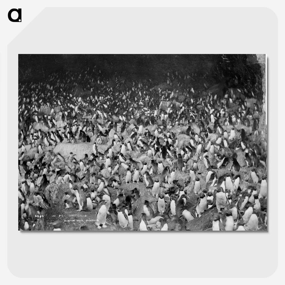 2-18_The-Burton-Brothers_picture-crop