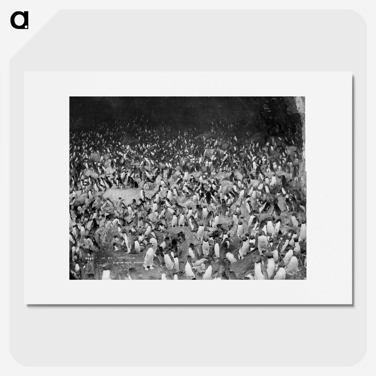 2-18_The-Burton-Brothers_picture