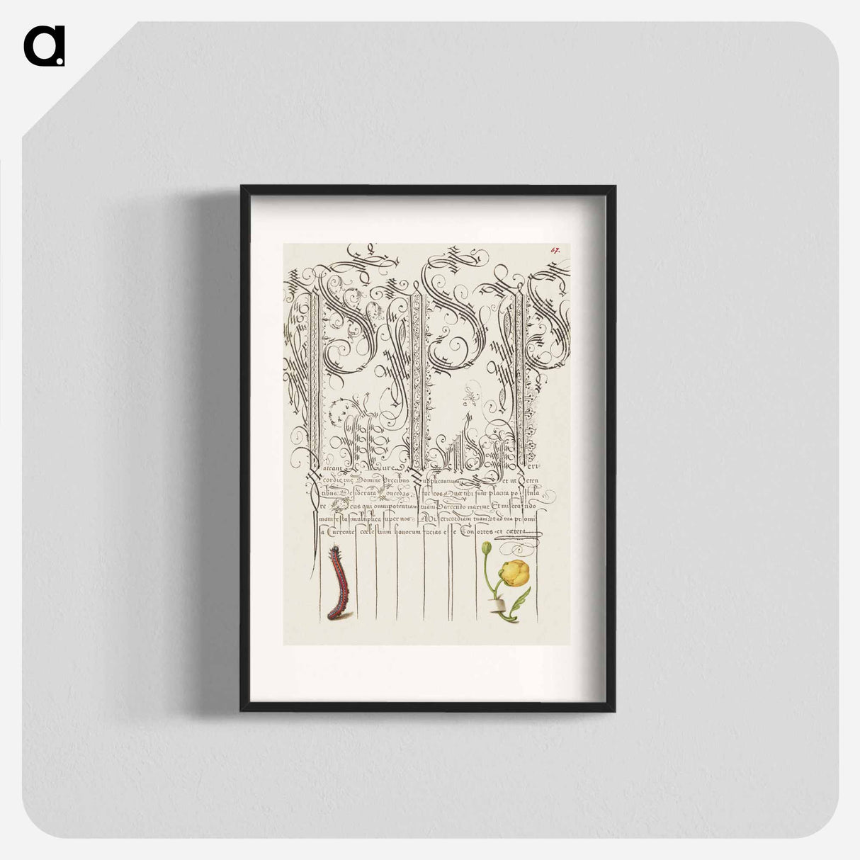 アートポスター-Caterpillar and Globeflower from Mira Calligraphiae Monumenta
- 書道のお手本 Poster.