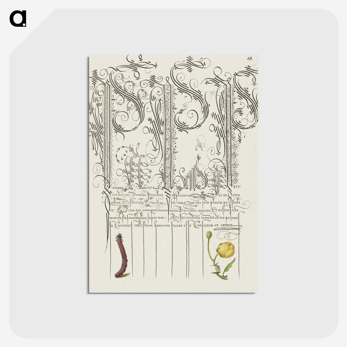 2-18_The-Model-Book-of-Calligraphy_postcard