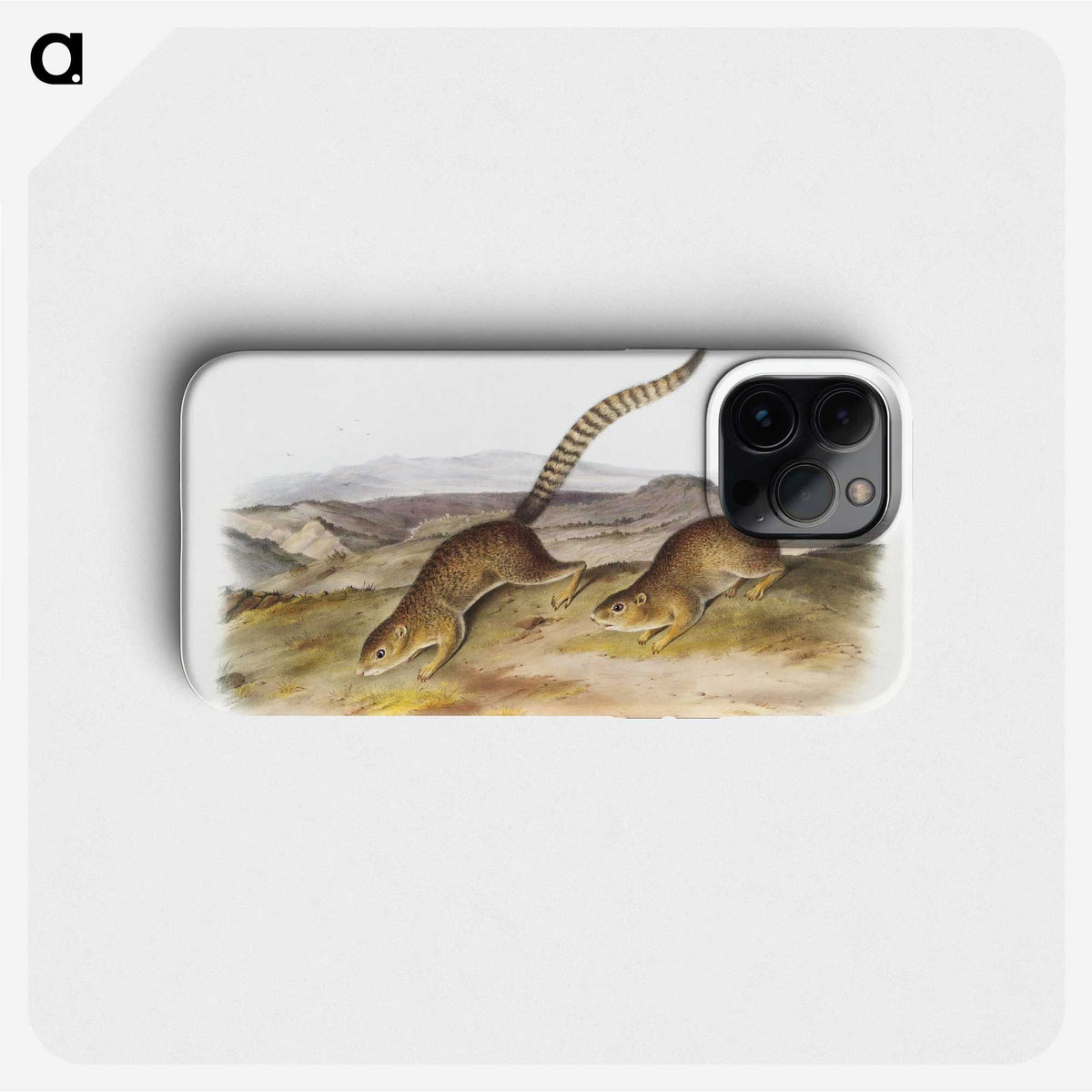 2-18_The-Viviparous-Quadrupeds_phone