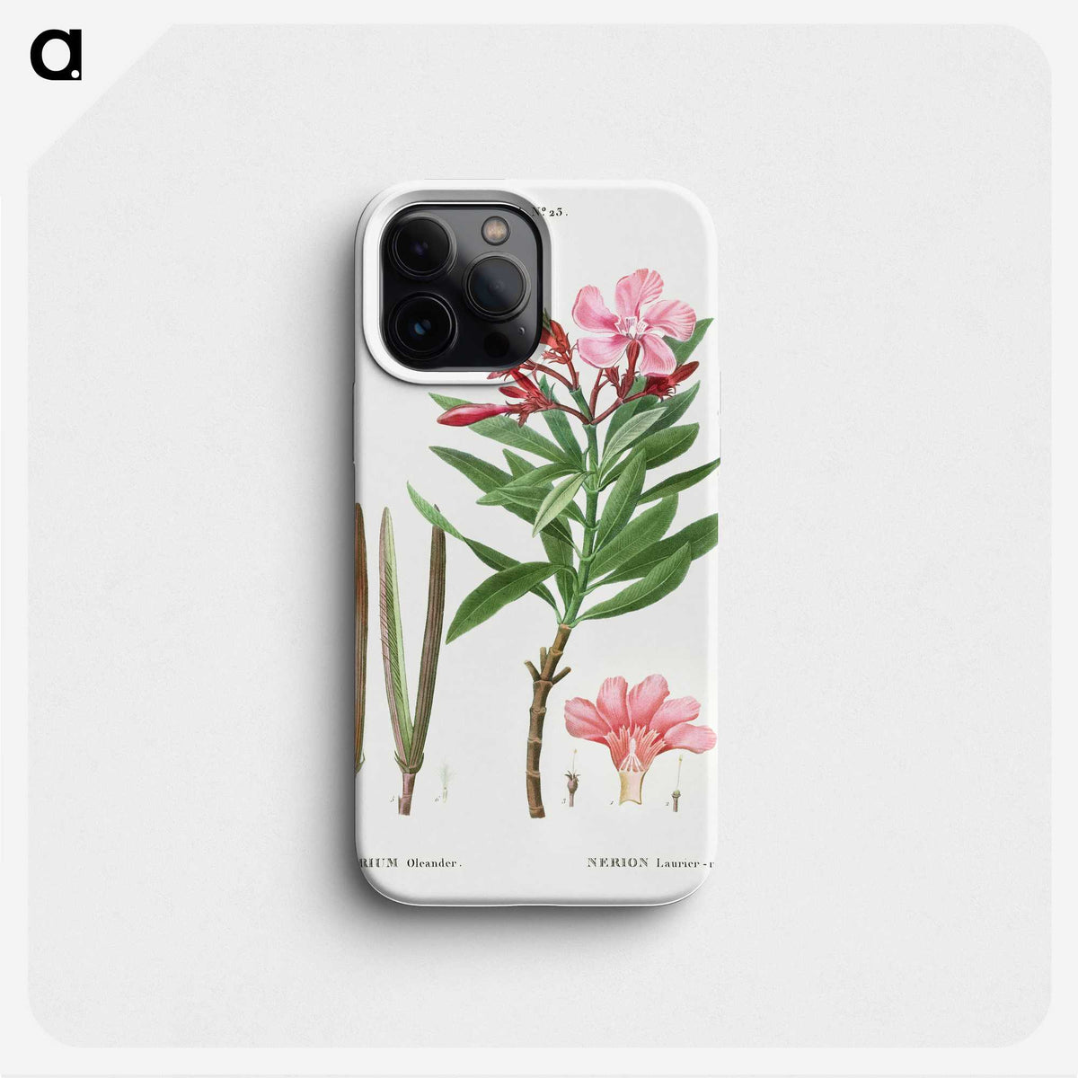 2-18_Treatise-on-Trees-and-Shrubs_phone