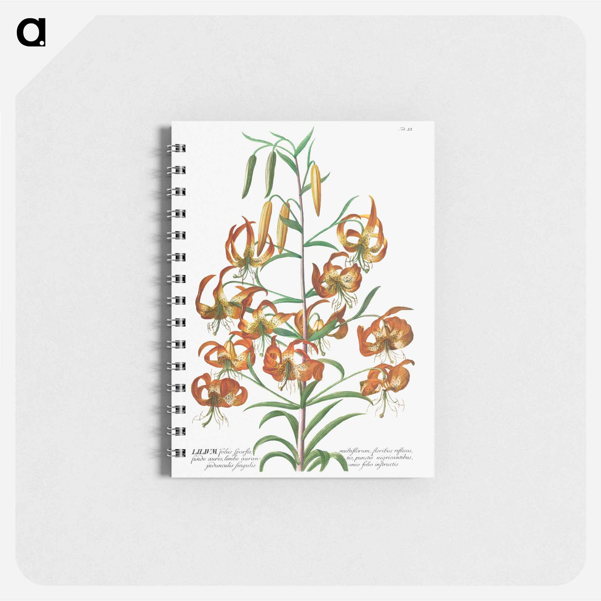 アートメモ帳-Lily
- クリーブランド美術館 Memo.