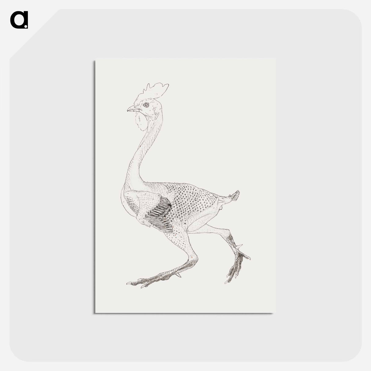 アートポストカード-Fowl Body, Lateral View
- ジョージ スタッブス Postcard.