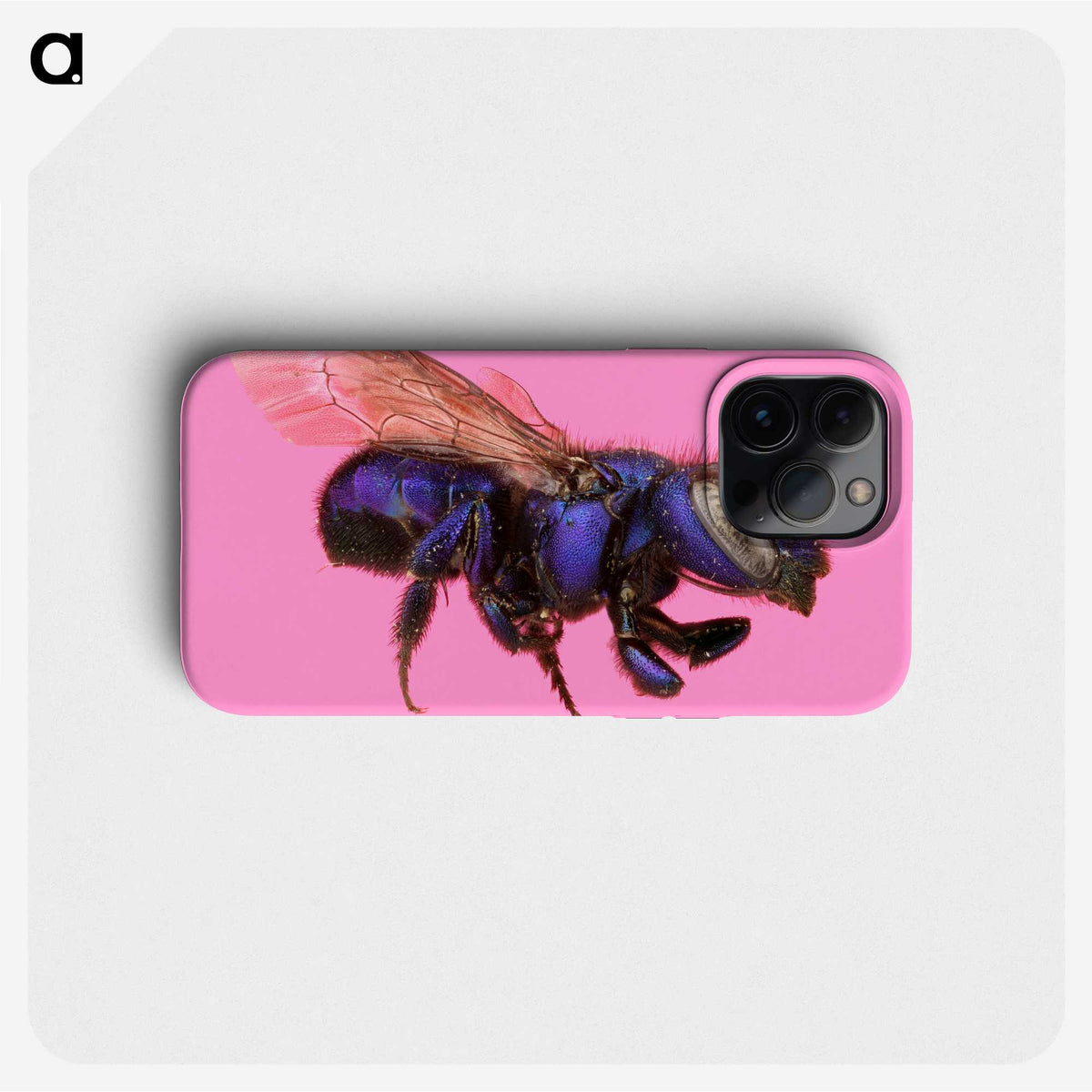 2-19_Insects-Unlocked-Project_phone
