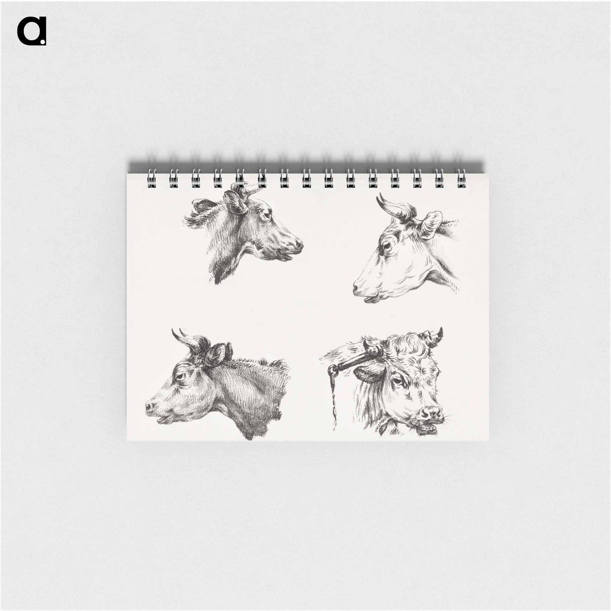 Four bull heads - ジャン ベルナール Memo.