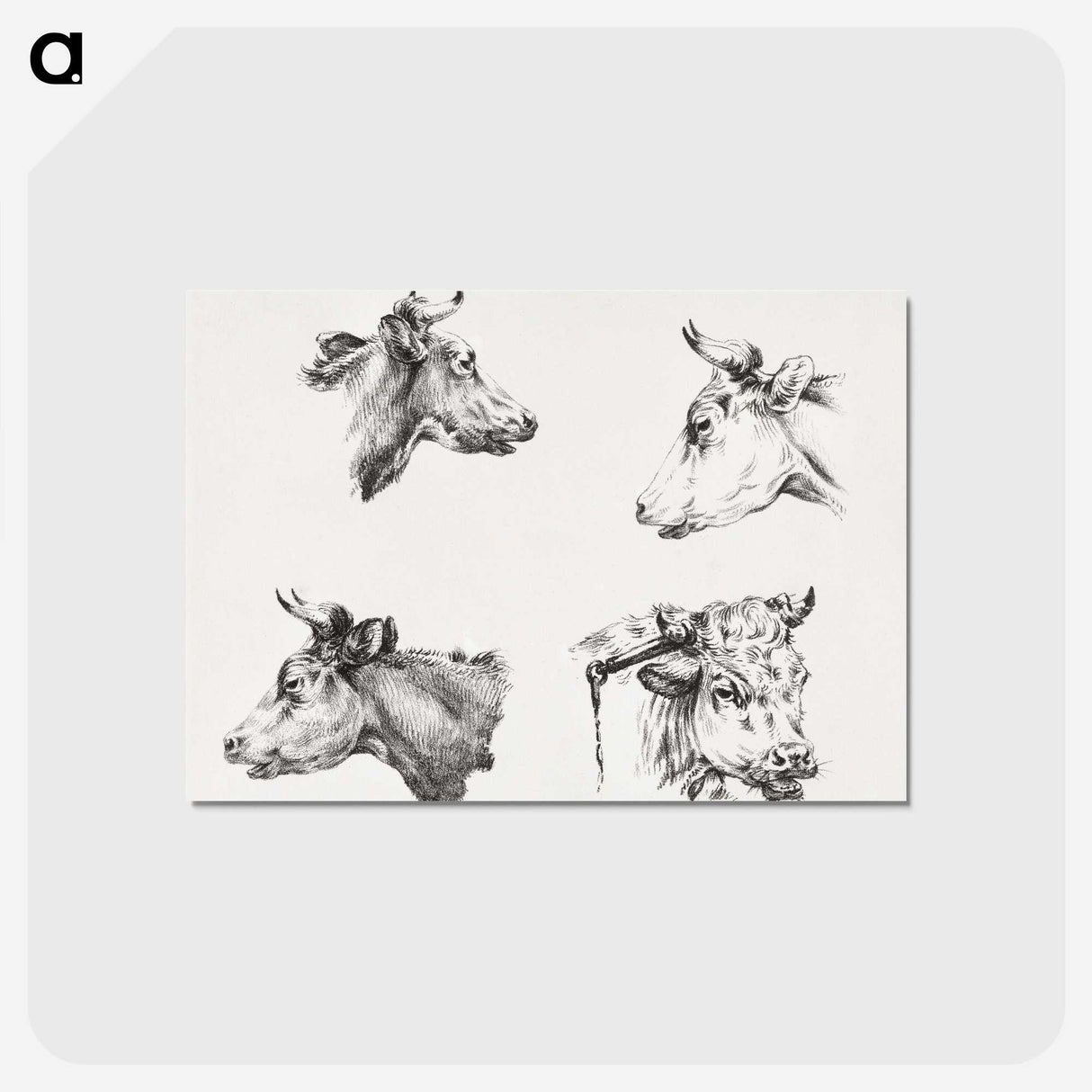 2-19_Jean-Bernard_postcard