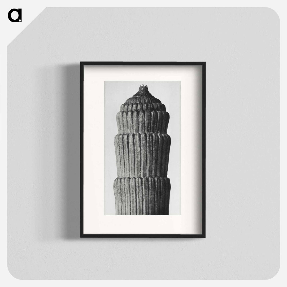 Equisetum hyemale - カール ブロスフェルト Poster.