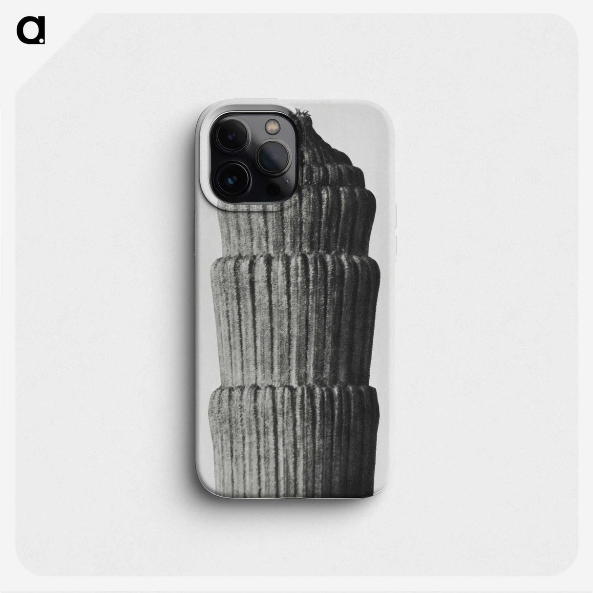 2-19_Karl-Blossfeldt_phone