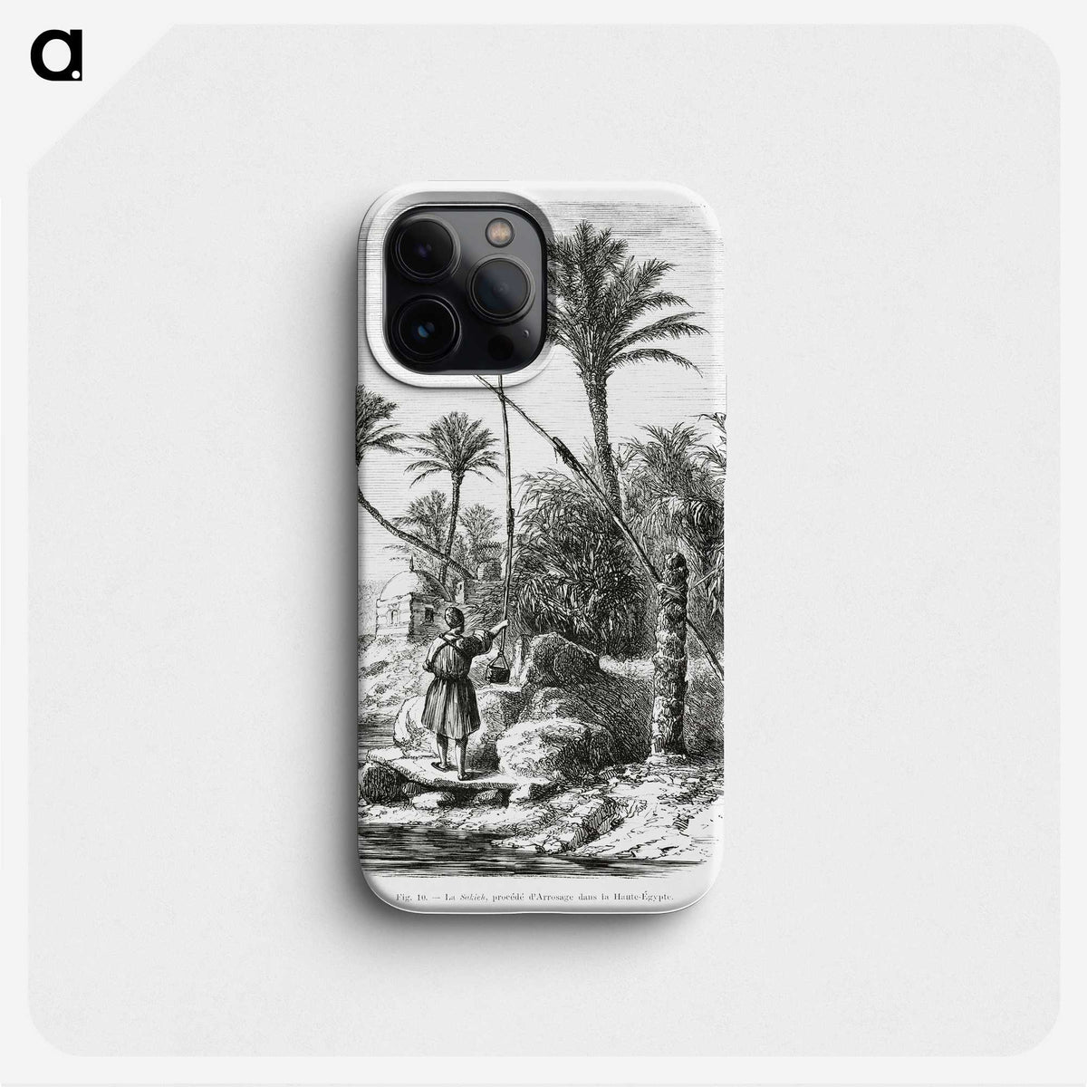 2-19_Les-Palmiers-Histoire-Iconographique_phone