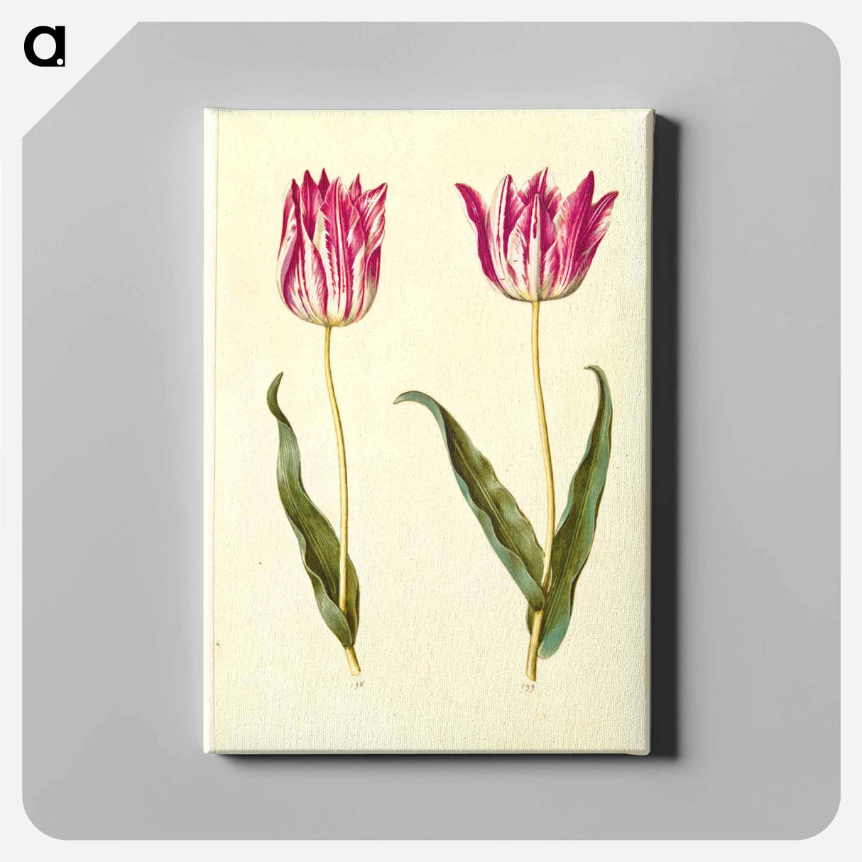 アートパネル-Tulipa Gesneriana
- マリア ジビーラ メーリアン Canvas.