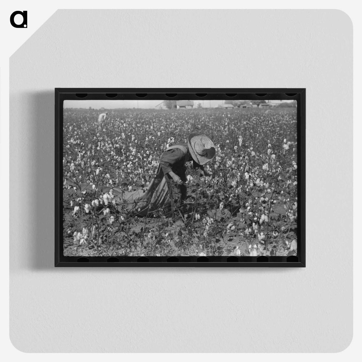 2-19_Marion-Post-Wolcott_blk-crop