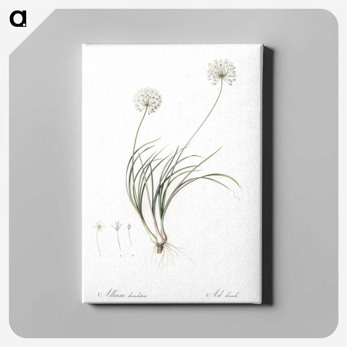 2-19_The-Lilies_canvas