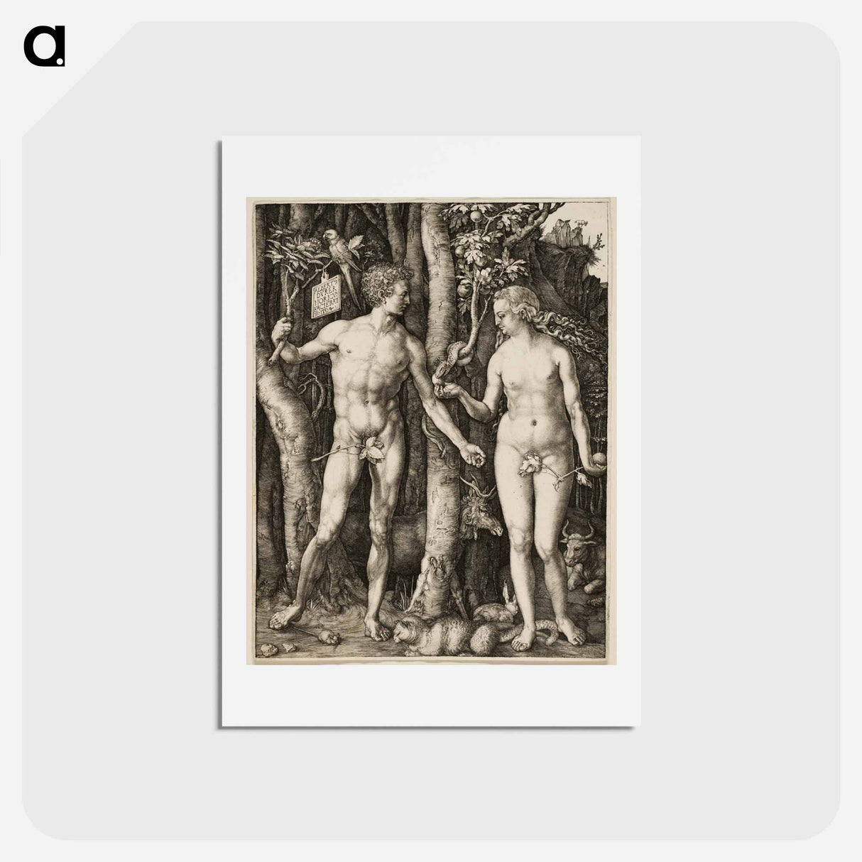 アートポストカード-Adam and Eve - アルブレヒト デューラー Postcard.