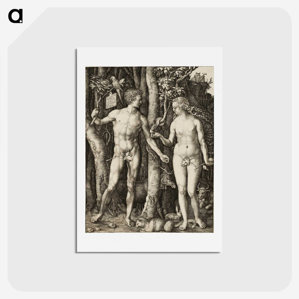 2-1_Albrecht-Durer_hagaki
