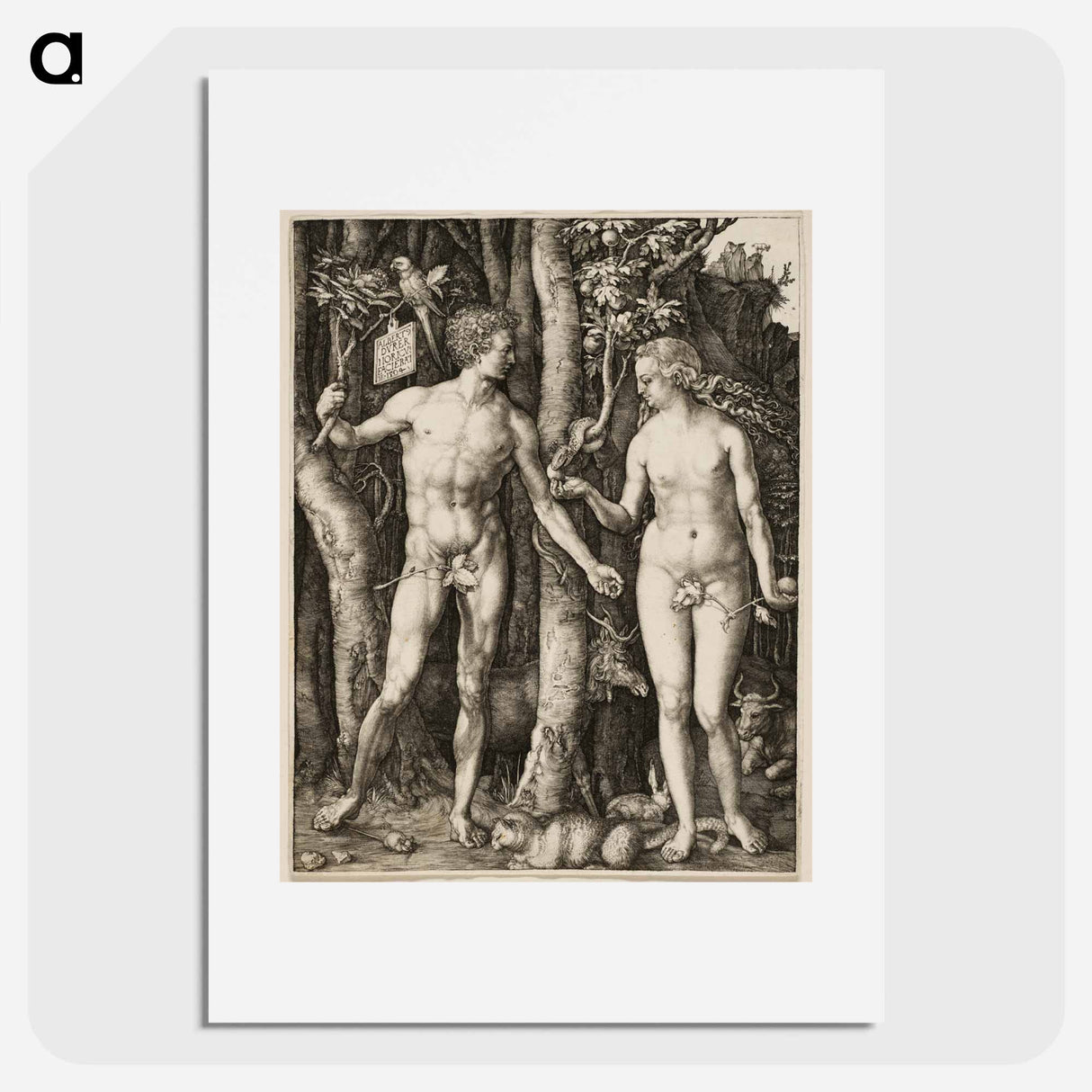 Adam and Eve - アルブレヒト デューラー Poster.