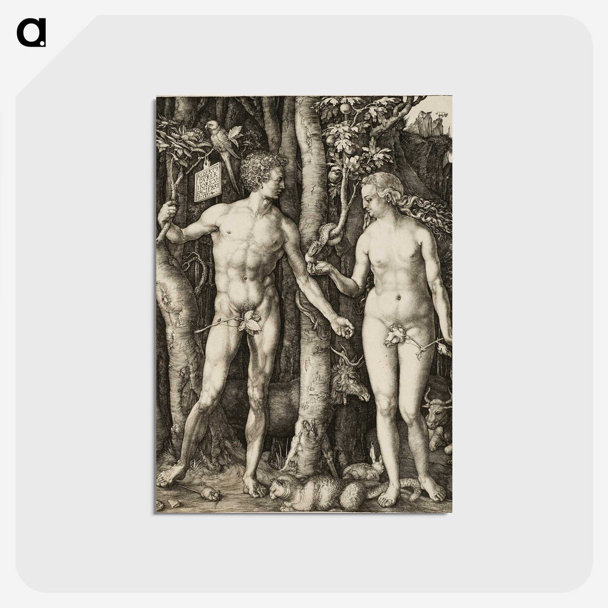 2-1_Albrecht-Durer_postcard