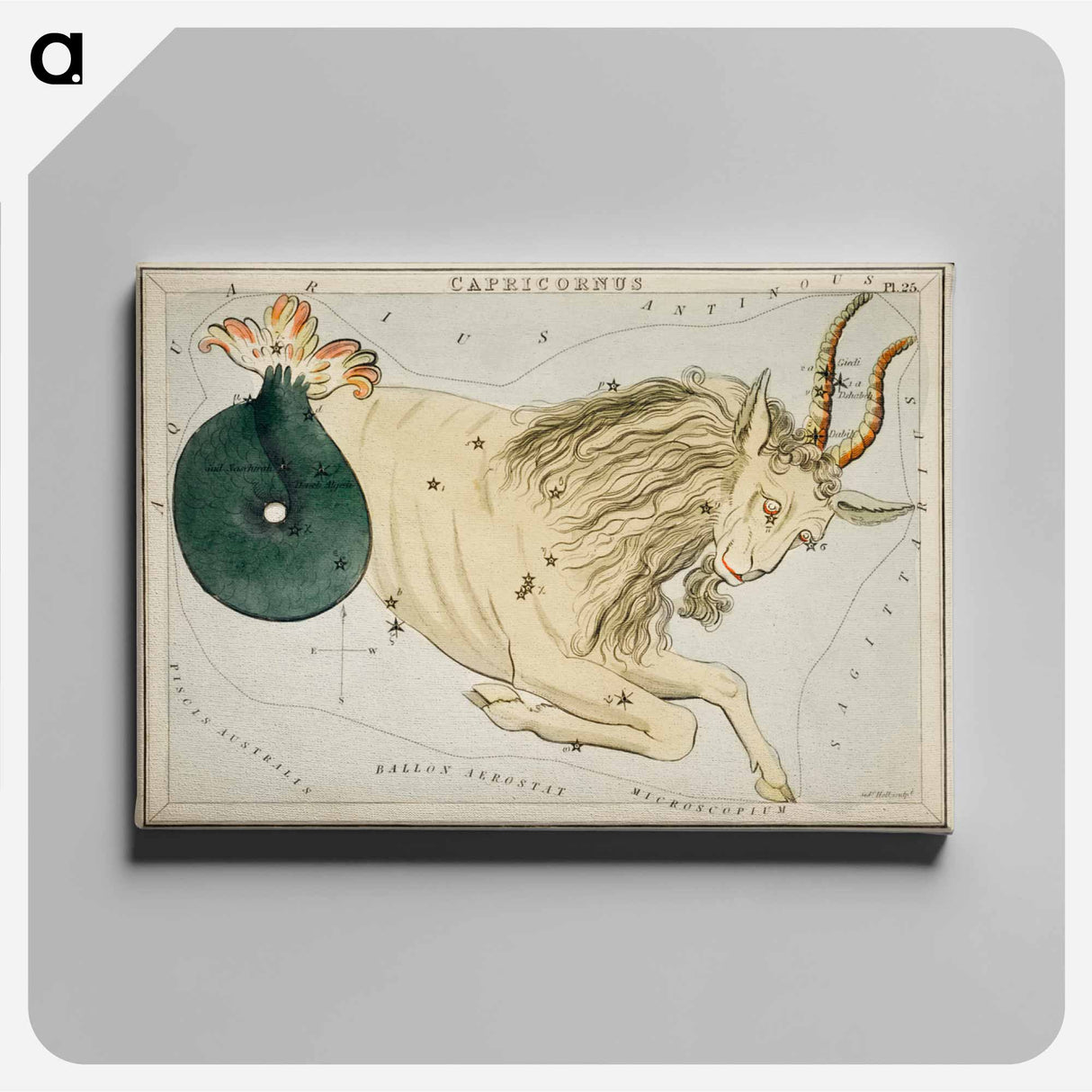 Sidney Hall’s astronomical chart illustration of the zodiac Capricornus - アンティーク地図 Canvas.