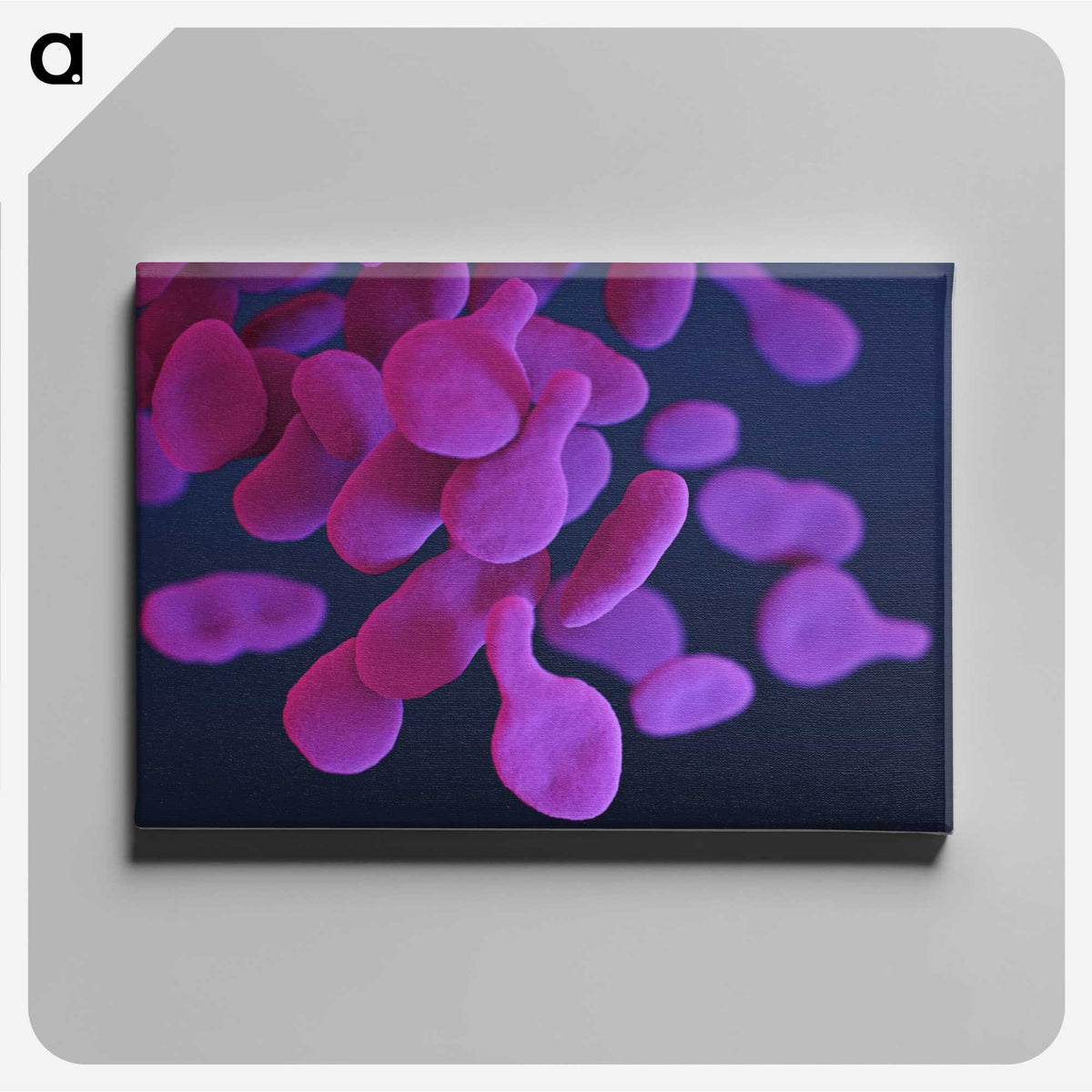 2-1_COVID-19_canvas