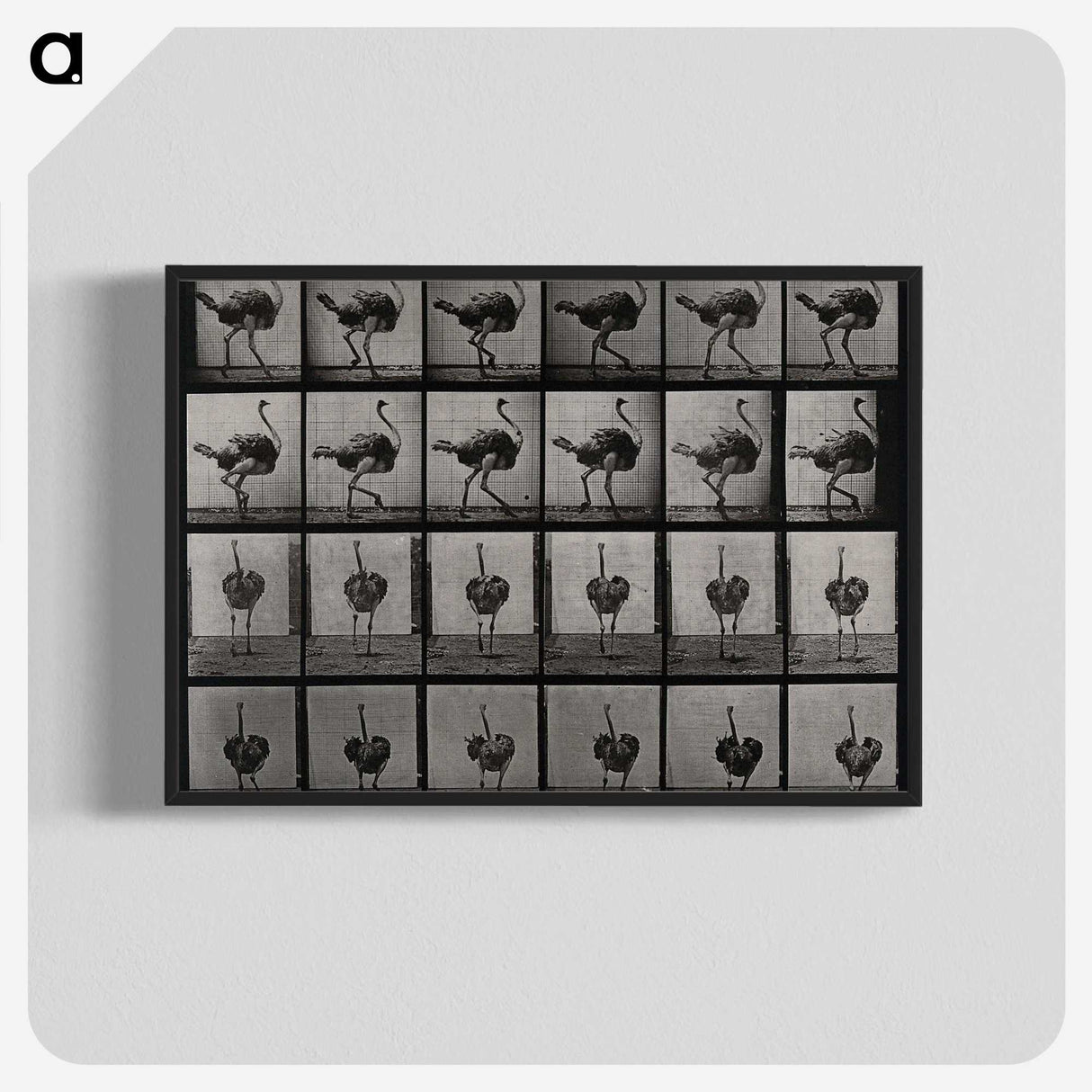 2-1_Eadweard-Muybridge_blk-crop