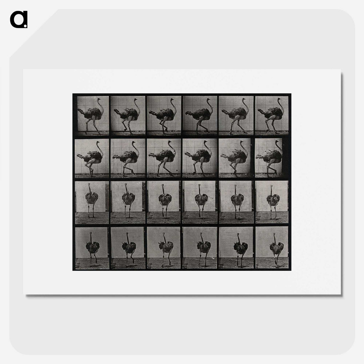 2-1_Eadweard-Muybridge_picture