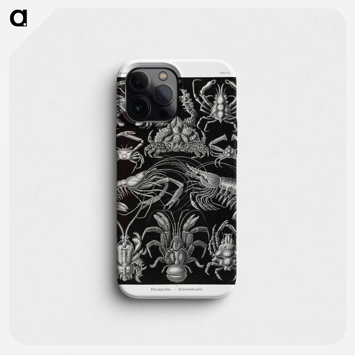 Decapoda–Behnfukkreble from Kunstformen der Natur - エルンスト ヘッケル Phone Case.