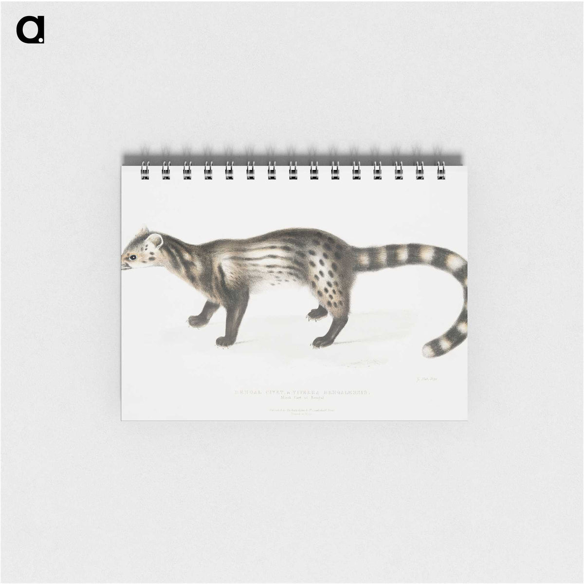 2-1_Indian-Zoology_memo