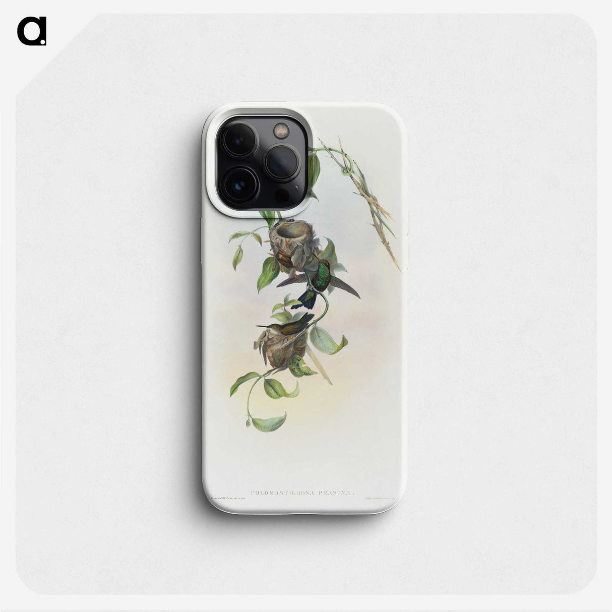 2-1_John-Gould_phone