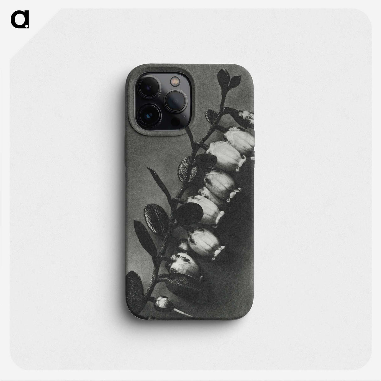 2-1_Karl-Blossfeldt_phone