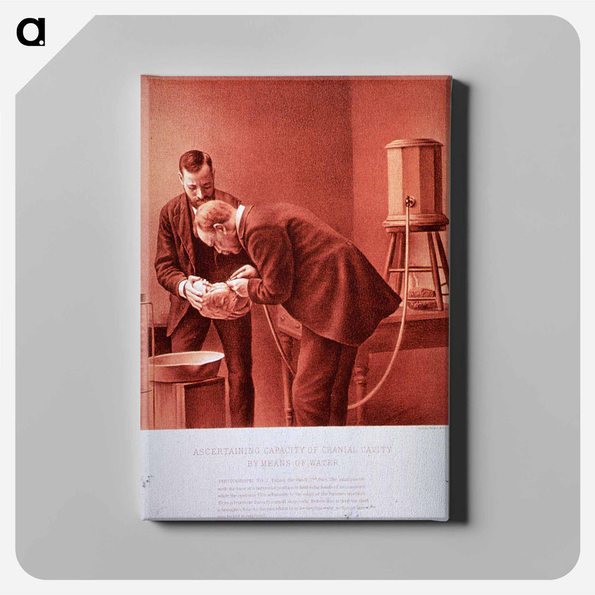 アートパネル-Ascertaining Capacity of Cranial Cavity by Means of Water: Photograph No. 2
- 国立医学図書館 Canvas.