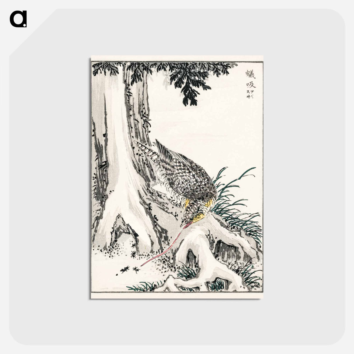 アートポストカード-Japanese Great Tit and Japanese Cypress
- 鳥類図鑑 Postcard.