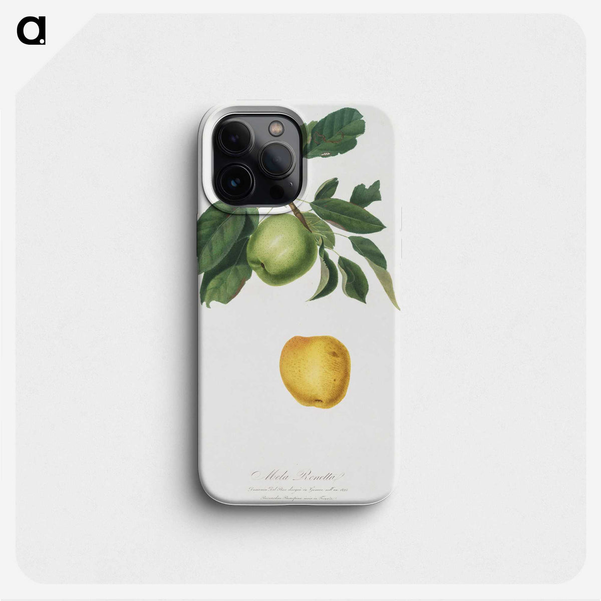 2-1_Pomona-Italiana_phone