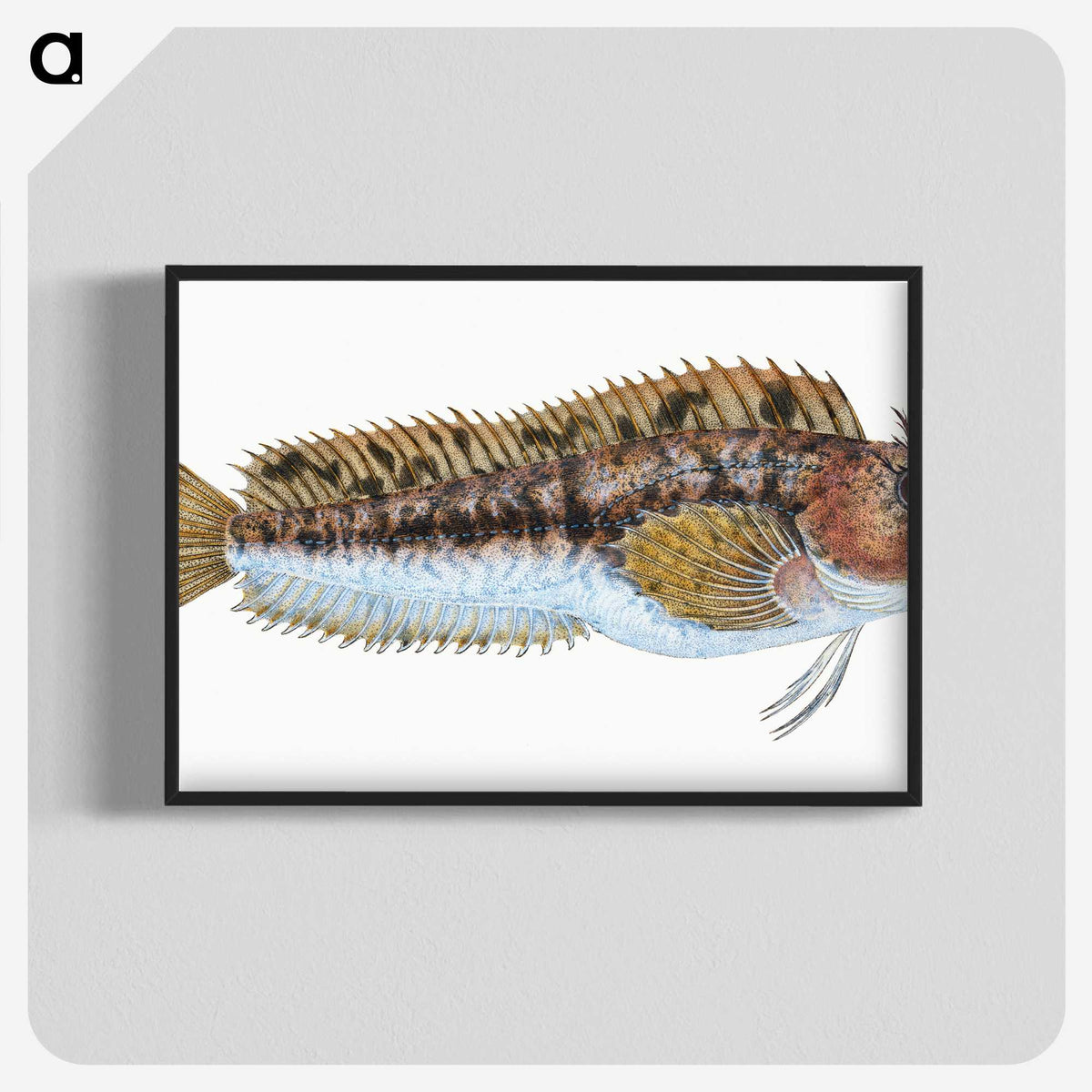 2-1_The-Natural-History-of-British-Fishes_blk-crop