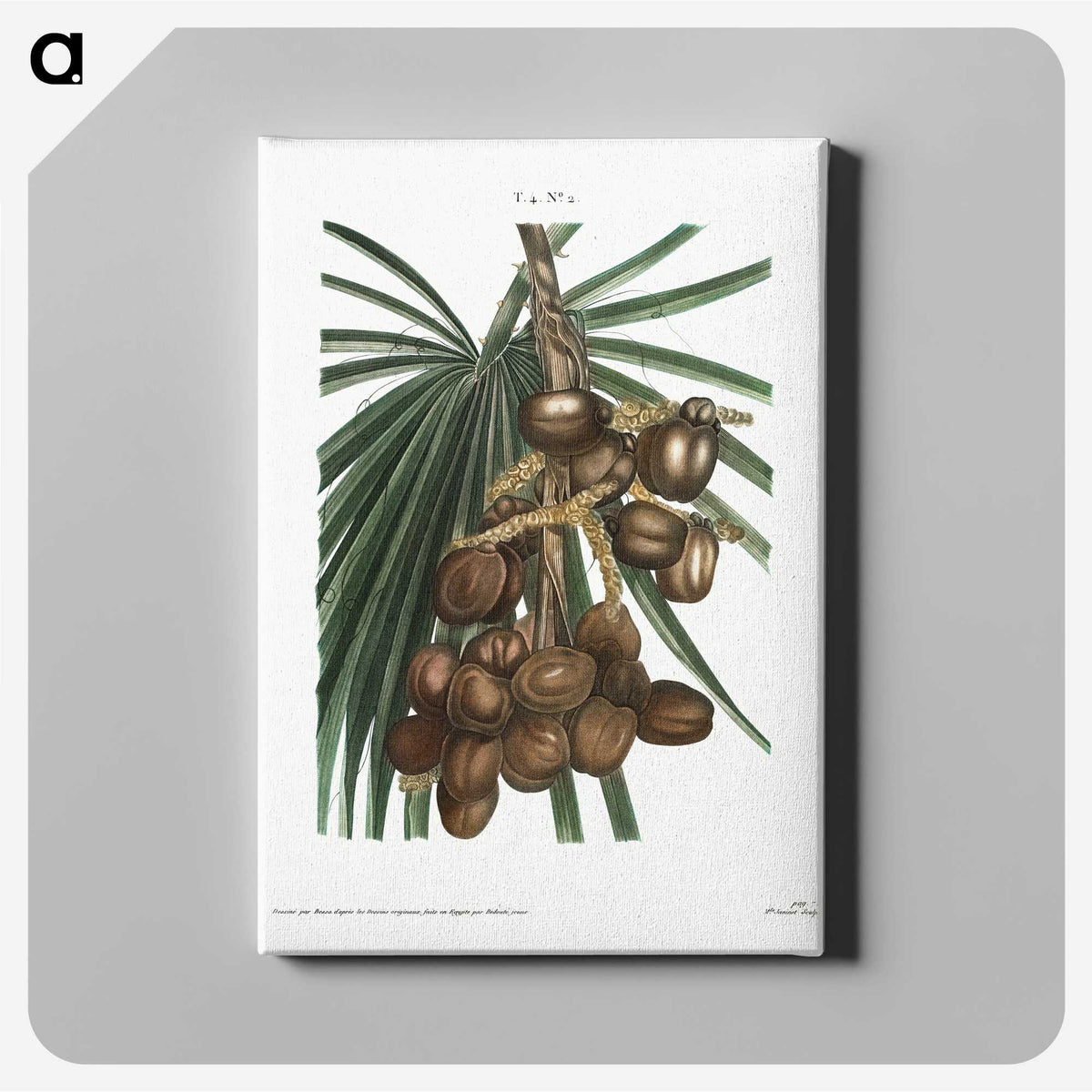 2-1_Treatise-on-Trees-and-Shrubs_canvas